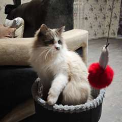 Фото отзыва 10915165