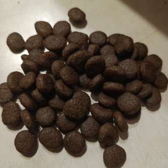 Корм для собак Grandorf при пищевой аллергии 3кг: отзыв пользователя. Зоомагазин Зоозавр