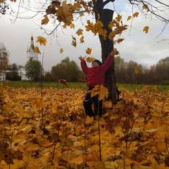 Фото отзыва 10516352