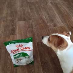 Фото отзыва 10979751