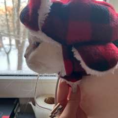 Фото отзыва 11066600