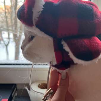 Шапка-ушанка для собак и кошек Зоозавр: отзыв пользователя. Зоомагазин Зоозавр