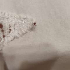 Фото отзыва 11063738