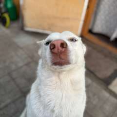 Фото отзыва 10643416