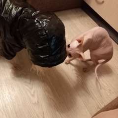 Фото отзыва 10458047