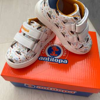 Полуботинки Antilopa: отзыв пользователя Детский Мир