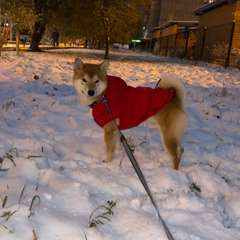 Фото отзыва 10573912