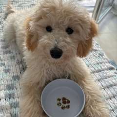 Фото отзыва 10037767