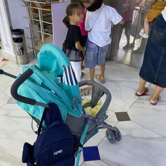 Коляска прогулочная Babyton Zoo Blue: отзыв пользователя ДетМир