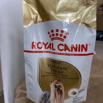 Корм для собак ROYAL CANIN породы йоркширский терьер 1.5кг: отзыв пользователя. Зоомагазин Зоозавр