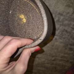 Фото отзыва 10827901