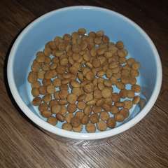 Фото отзыва 10639550