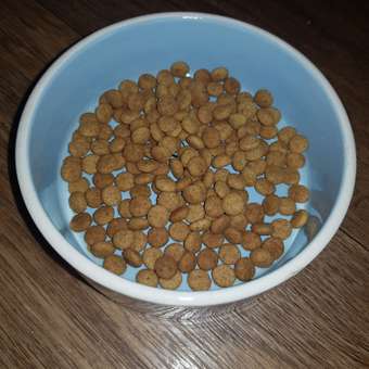 Корм сухой для кошек ROYAL CANIN Sterilised 400г пожилых стерилизованных: отзыв пользователя. Зоомагазин Зоозавр