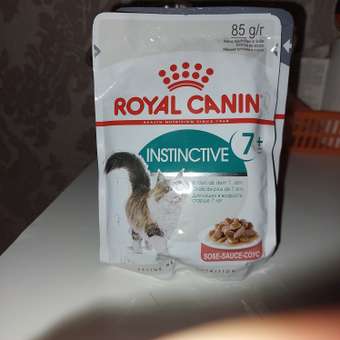 Корм для кошек ROYAL CANIN Instinctive 85г для пожилых 7+ соус пауч: отзыв пользователя. Зоомагазин Зоозавр