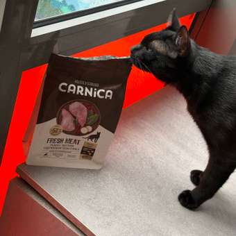 Корм для кошек CARNICA с кроликом сухой 0.4кг: отзыв пользователя. Зоомагазин Зоозавр