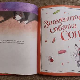 Книга Росмэн Все-все-все об умной собачке Соне Усачёв Андрей: отзыв пользователя Детский Мир