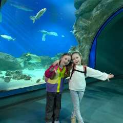 Фото отзыва 11155916