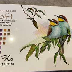 Фото отзыва 11186850