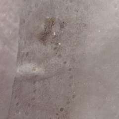 Фото отзыва 10487070