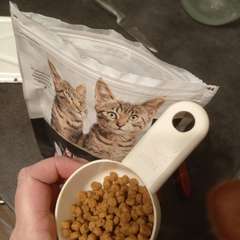 Фото отзыва 10904542