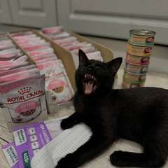 Фото отзыва 10440571