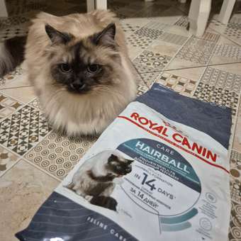 Корм сухой для кошек ROYAL CANIN Hairball Care 2кг для профилактики образования волосяных комочков в желудочно-кишечном тракте: отзыв пользователя. Зоомагазин Зоозавр