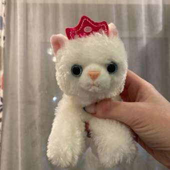 Игрушка мягкая Aurora котик: отзыв пользователя Детский Мир