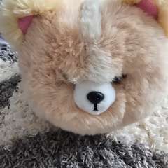 Фото отзыва 10838484