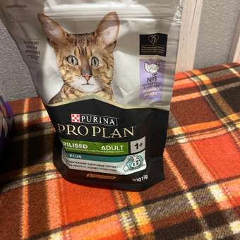 Корм сухой для кошек PRO PLAN RENAL PLUS 200г с индейкой для стерилизованных: отзыв пользователя. Зоомагазин Зоозавр