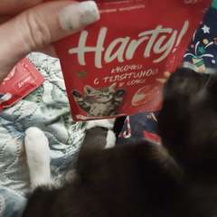 Фото отзыва 10913259