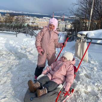 Санки Ника Алый: отзыв пользователя Детский Мир