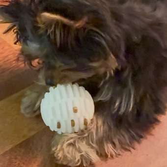 Игрушка для собак Barbaks Мяч-светлячок люминисцентный 6.4см: отзыв пользователя. Зоомагазин Зоозавр