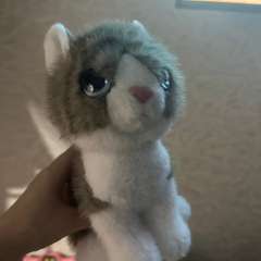 Фото отзыва 10529727