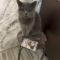 Фото отзыва 11042948