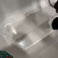 Фото отзыва 11092575