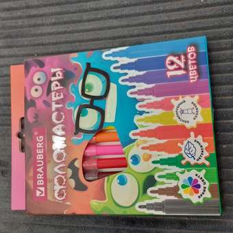 Фломастеры Brauberg: отзыв пользователя Детский Мир