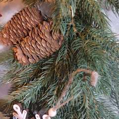 Фото отзыва 10865146