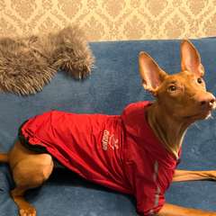 Фото отзыва 8243968