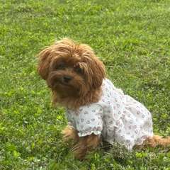 Фото отзыва 10030096