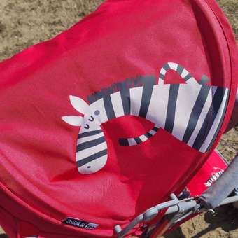 Коляска прогулочная Babyton Zoo Red: отзыв пользователя ДетМир