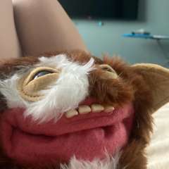 Фото отзыва 10585086