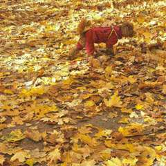 Фото отзыва 10567190