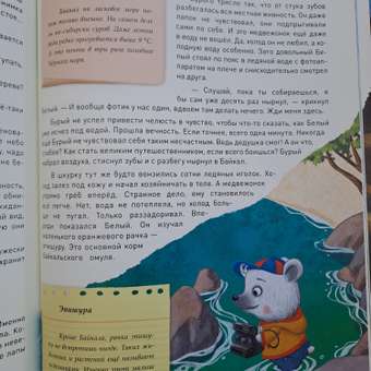 Книга МОЗАИКА kids Загадки старого фотоальбома (сказка-путеводитель): отзыв пользователя Детский Мир