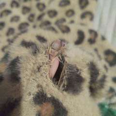 Фото отзыва 10708035