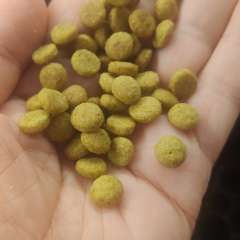 Фото отзыва 10551348