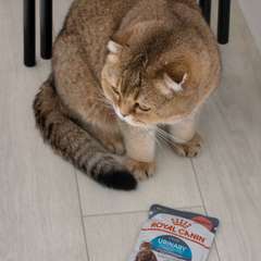 Фото отзыва 10754187