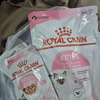 Корм сухой для котят ROYAL CANIN Kitten 300г: отзыв пользователя. Зоомагазин Зоозавр