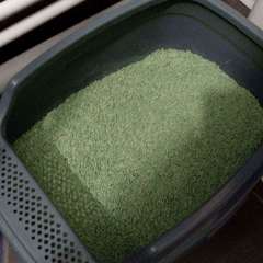 Фото отзыва 11341486