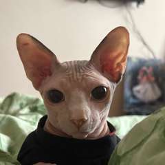 Фото отзыва 11323841