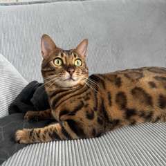 Фото отзыва 10516850